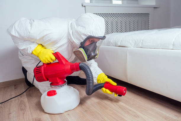 Best Pest Prevention Services  in Roosevelt, NY